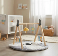 Play Gym With Wooden Arch - Koala
