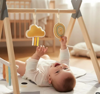 Play Gym With Wooden Arch - Koala